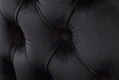 Chesterfield Stuhl CASTLE DELUXE schwarz Samt mit Löwenkopf Nieten